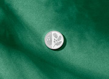 The new 5p.jpg The new 5p.jpg